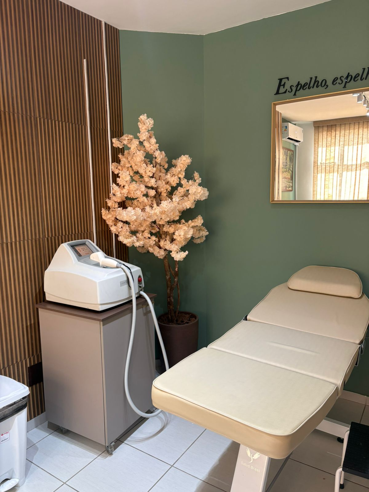Sala de atendimento da Depyl Prime em Carandaí